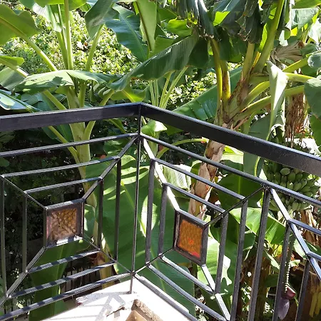 كارتال فندق